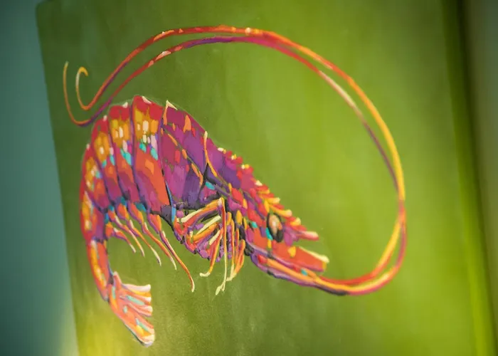 Penzion Casa Consani 3*